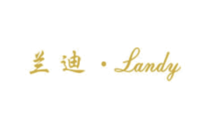 yonyou-landy-industry-case-logo-用友-蘭迪鞋業 yonyou-landy-industry-case-logo-用友-蘭迪鞋業